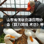 山东省信息资源应用协会《算力网络 术语》等3项标准施行（图4）