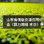 山东省信息资源应用协会《算力网络 术语》等3项标准施行（图1）
