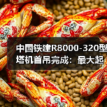 中国铁建R8000-320型塔机首吊完成：最大起重量320吨（图2）