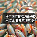 推广南京新能源重卡换电模式 共建互通互换产业发展生态（图4）