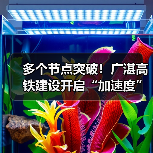 多个节点突破!广湛高铁建设开启“加速度”(图2) 多个节点突破!广湛高铁建设开启“加速度”(图2)
