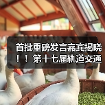 首批重磅发言嘉宾揭晓！！第十七届轨道交通与城市发展大会火热报名中！（图4）