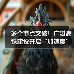 多个节点突破!广湛高铁建设开启“加速度”(图4) 多个节点突破!广湛高铁建设开启“加速度”(图4)