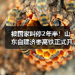 被国家叫停2年半！山东自建济枣高铁正式开工（图1）