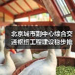 北京城市副中心综合交通枢纽工程建设稳步推进（图3）