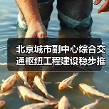 北京城市副中心综合交通枢纽工程建设稳步推进（图4）