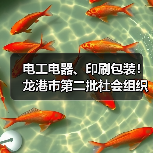 电工电器、印刷包装！龙港市第二批社会组织评估结果公示（图1）