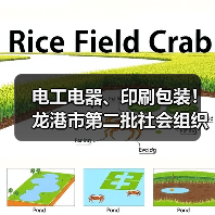 电工电器、印刷包装！龙港市第二批社会组织评估结果公示（图4）
