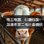 电工电器、印刷包装！龙港市第二批社会组织评估结果公示（图3）