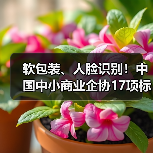 软包装、人脸识别！中国中小商业企协17项标准立项获批（图3）