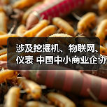 涉及挖掘机、物联网、仪表 中国中小商业企协25项标准施行（图2）