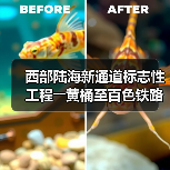 西部陆海新通道标志性工程――黄桶至百色铁路正式开建（图4）
