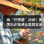 向“世界级”迈进！我国先进制造业集群发展优势凸显（图3）
