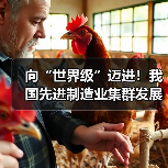 向“世界级”迈进！我国先进制造业集群发展优势凸显（图4）