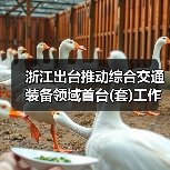 浙江出台推动综合交通装备领域首台(套)工作的实施意见（图3）