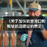 《关于加快智慧港口和智慧航道建设的意见》解读（图3）