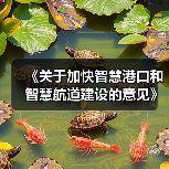 《关于加快智慧港口和智慧航道建设的意见》解读（图1）