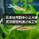 北京城市副中心三大建筑项目顺利通过竣工验收(图1) 北京城市副中心三大建筑项目顺利通过竣工验收(图1)