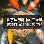 北京城市副中心三大建筑项目顺利通过竣工验收(图4) 北京城市副中心三大建筑项目顺利通过竣工验收(图4)