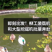 即刻出发!柳工装载机和大型挖掘机批量奔赴西藏(图1) 即刻出发!柳工装载机和大型挖掘机批量奔赴西藏(图1)
