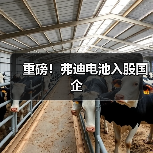 重磅!弗迪电池入股国企(图1) 重磅!弗迪电池入股国企(图1)
