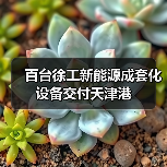百台徐工新能源成套化设备交付天津港（图4）