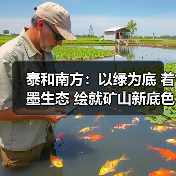泰和南方:以绿为底 着墨生态 绘就矿山新底色(图3) 泰和南方:以绿为底 着墨生态 绘就矿山新底色(图3)