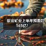 紫金矿业上半年预盈超145亿!(图4) 紫金矿业上半年预盈超145亿!(图4)
