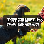 工信部解读新型工业化取得的新进展新成效（图4）
