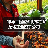 神马工程塑料将成为尼龙化工全资子公司(图4) 神马工程塑料将成为尼龙化工全资子公司(图4)