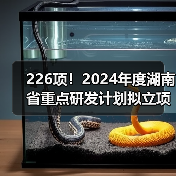 226项!2024年度湖南省重点研发计划拟立项项目公布(图3) 226项!2024年度湖南省重点研发计划拟立项项目公布(图3)