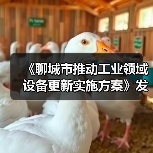 《聊城市推动工业领域设备更新实施方案》发布(图2) 《聊城市推动工业领域设备更新实施方案》发布(图2)