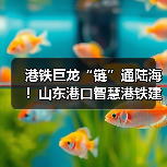 港铁巨龙“链”通陆海!山东港口智慧港铁建设硕果累累(图2) 港铁巨龙“链”通陆海!山东港口智慧港铁建设硕果累累(图2)