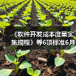 《软件开发成本度量实施规程》等6项标准6月7日实施(图3) 《软件开发成本度量实施规程》等6项标准6月7日实施(图3)