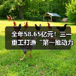 全年58.65亿元!三一重工打造“第一推动力”!(图3) 全年58.65亿元!三一重工打造“第一推动力”!(图3)