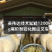 英伟达技术赋能1200kg高阶智能化搬运叉车(图3) 英伟达技术赋能1200kg高阶智能化搬运叉车(图3)