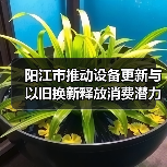 阳江市推动设备更新与以旧换新释放消费潜力(图2) 阳江市推动设备更新与以旧换新释放消费潜力(图2)