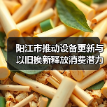 阳江市推动设备更新与以旧换新释放消费潜力(图1) 阳江市推动设备更新与以旧换新释放消费潜力(图1)
