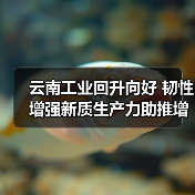 云南工业回升向好 韧性增强新质生产力助推增长(图4) 云南工业回升向好 韧性增强新质生产力助推增长(图4)