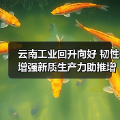 云南工业回升向好 韧性增强新质生产力助推增长(图3) 云南工业回升向好 韧性增强新质生产力助推增长(图3)