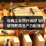 云南工业回升向好 韧性增强新质生产力助推增长(图2) 云南工业回升向好 韧性增强新质生产力助推增长(图2)