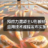 预应力混凝土U形板桩应用技术规程发布实施(图1) 预应力混凝土U形板桩应用技术规程发布实施(图1)