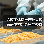 六项团体标准获批立项涵盖电力建筑智能领域(图2) 六项团体标准获批立项涵盖电力建筑智能领域(图2)