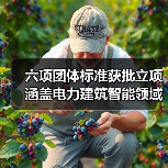 六项团体标准获批立项涵盖电力建筑智能领域(图3) 六项团体标准获批立项涵盖电力建筑智能领域(图3)