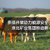 多措并举助力能源安全，淮北矿业集团推动新能源与传统能源协同（图1）