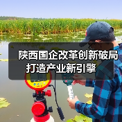陕西国企改革创新破局打造产业新引擎（图1）