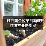 陕西国企改革创新破局打造产业新引擎（图3）