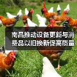南昌推动设备更新与消费品以旧换新促高质量发展(图2) 南昌推动设备更新与消费品以旧换新促高质量发展(图2)