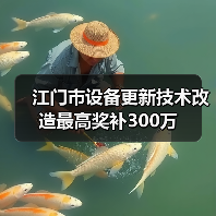 江门市设备更新技术改造最高奖补300万(图2) 江门市设备更新技术改造最高奖补300万(图2)