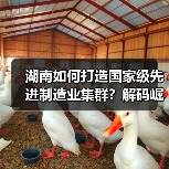 湖南如何打造国家级先进制造业集群？解码崛起密匙（图4）